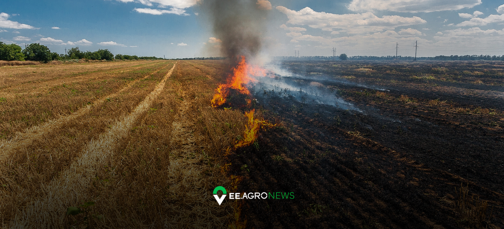 incêndios