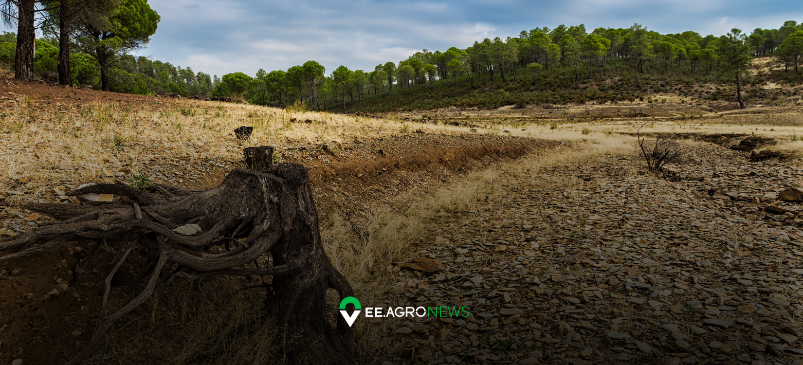 Preservação ambiental no agronegócio